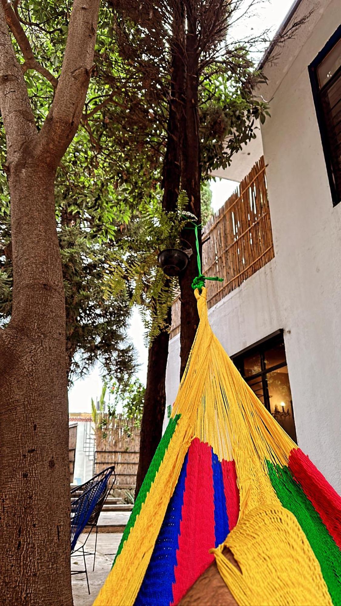 Xitla Hostel Oaxaca Екстериор снимка